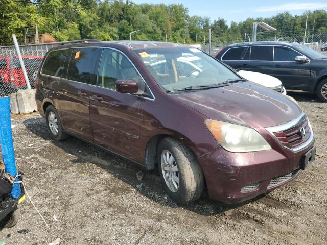 5FNRL38768B016136 - 2008 HONDA ODYSSEY EXL BURGUNDY photo 4