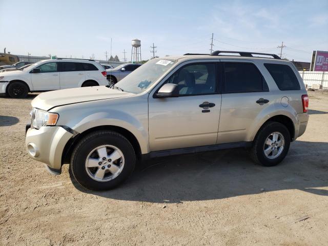 2012 FORD ESCAPE XLT, 