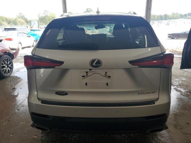 JTJYARBZ5K2145359 - 2019 LEXUS NX 300 BASE 银色 照片 6