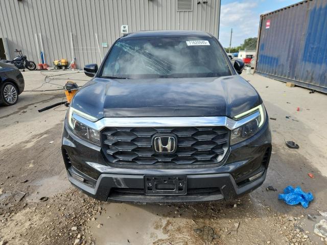 5FNYF8H51RB014388 - 2024 HONDA PASSPORT EXL შავი ფოტო 5