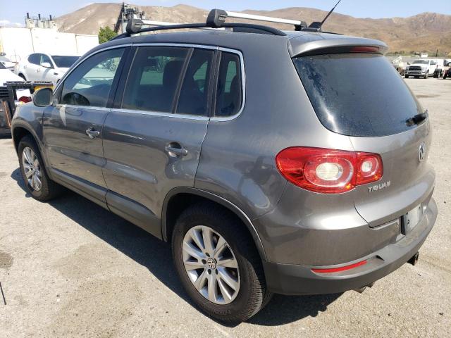 WVGBV7AX5AW520736 - 2010 VOLKSWAGEN TIGUAN SE 灰色 照片 2