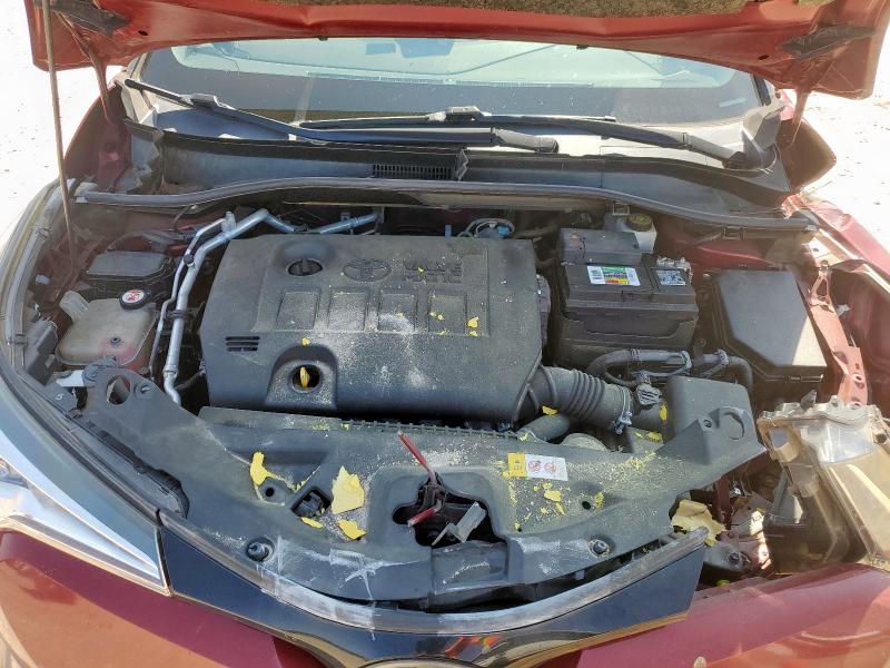 JTNKHMBX5K1036231 - 2019 TOYOTA C-HR XLE Կարմիր լուսանկար 11