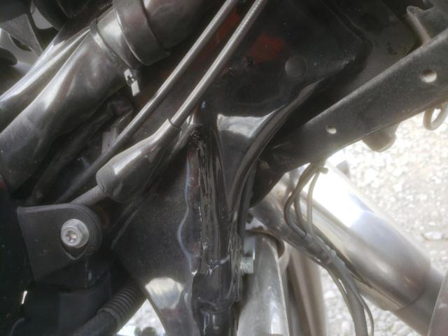 1HD1FCW195Y655463 - 2005 HARLEY-DAVIDSON FLHTCUI 棕色 照片 10