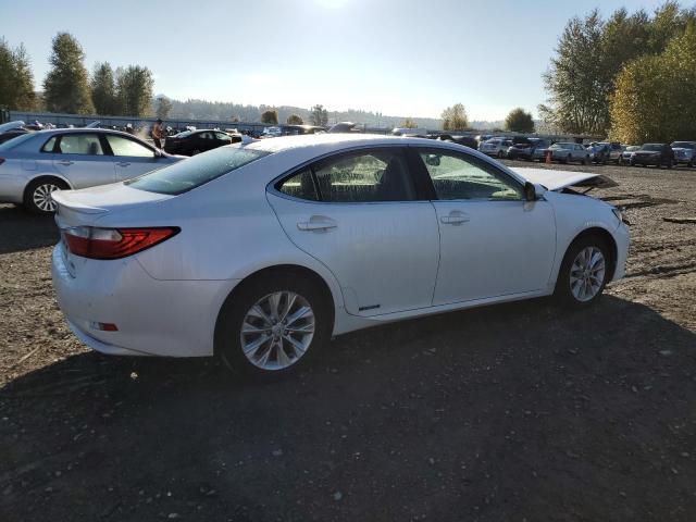 JTHBW1GG5E2070975 - 2014 LEXUS ES 300H WHITE photo 3