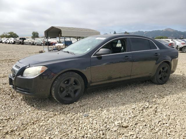 2010 CHEVROLET MALIBU LS, 
