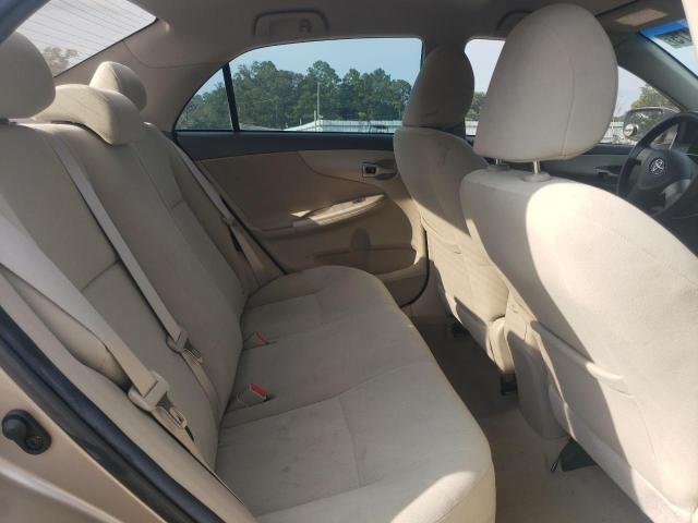 1NXBU4EE6AZ339912 - 2010 TOYOTA COROLLA BASE Dorado foto 10