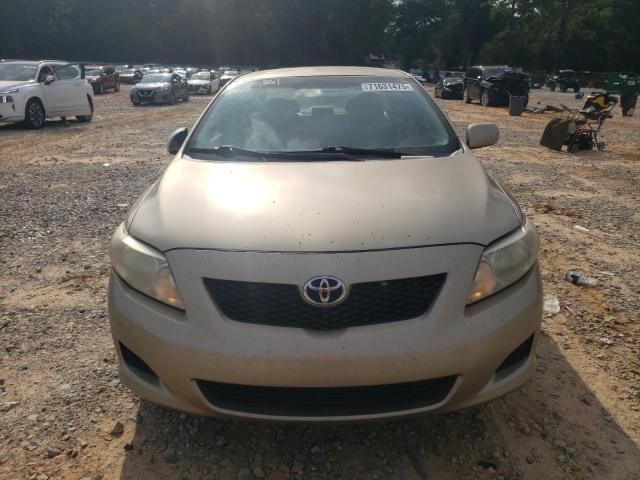 1NXBU4EE6AZ339912 - 2010 TOYOTA COROLLA BASE Dorado foto 5