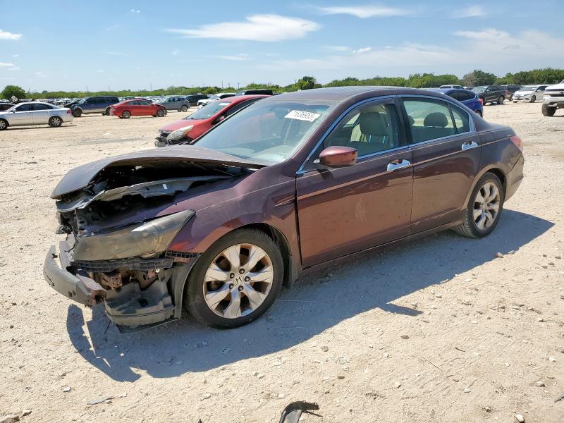 2010 HONDA ACCORD EXL, 
