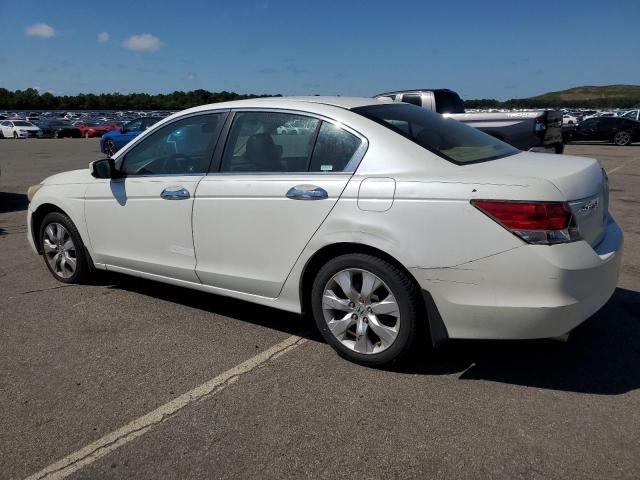 1HGCP36878A025895 - 2008 HONDA ACCORD EXL WHITE photo 2