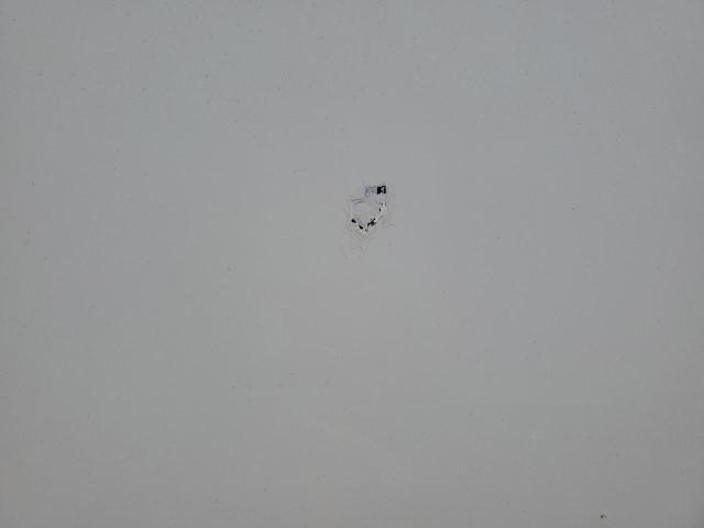 3AKJGEDV0GSGV3102 - 2016 FREIGHTLINER CASCADIA 1 WHITE photo 9