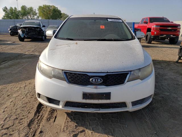 KNAFU4A23C5601896 - 2012 KIA FORTE EX WHITE photo 5