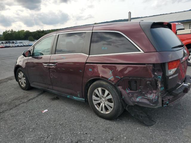 5FNRL5H6XEB097348 - 2014 HONDA ODYSSEY EXL Bordo foto 2