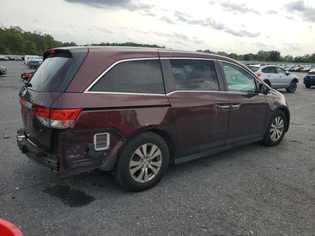 5FNRL5H6XEB097348 - 2014 HONDA ODYSSEY EXL Bordo foto 3