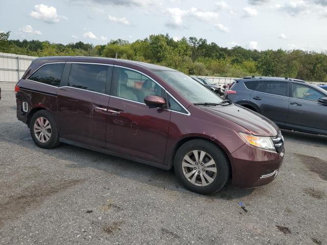 5FNRL5H6XEB097348 - 2014 HONDA ODYSSEY EXL Bordo foto 4