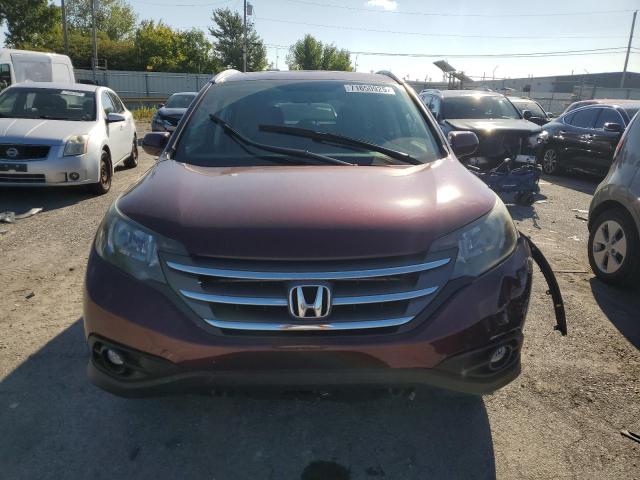 5J6RM4H70DL055230 - 2013 HONDA CR-V EXL 勃艮第红 照片 5