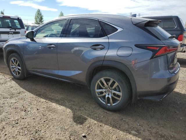 JTJHARDZ3M2247405 - 2021 LEXUS NX 300 BASE ნაცრისფერი ფოტო 2