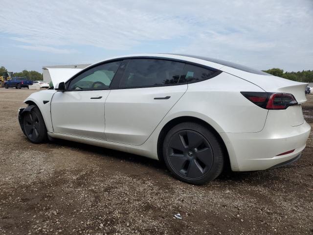 5YJ3E1EA2MF962605 - 2021 TESLA MODEL 3 Սպիտակ լուսանկար 2