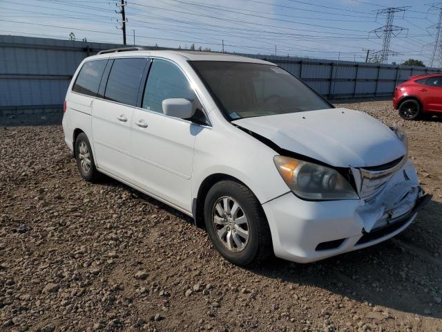 5FNRL3H73AB030291 - 2010 HONDA ODYSSEY EXL 白色 照片 4