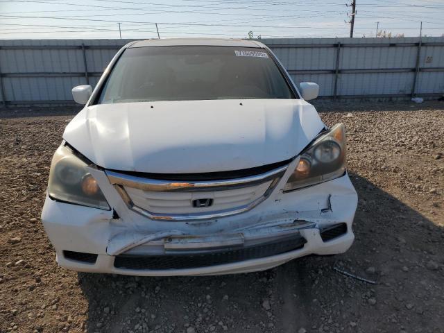 5FNRL3H73AB030291 - 2010 HONDA ODYSSEY EXL 白色 照片 5