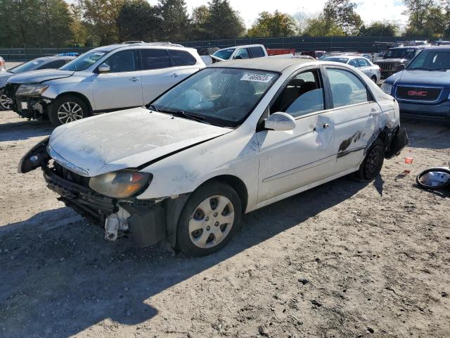 KNAFE221995620808 - 2009 KIA SPECTRA EX WHITE photo 1