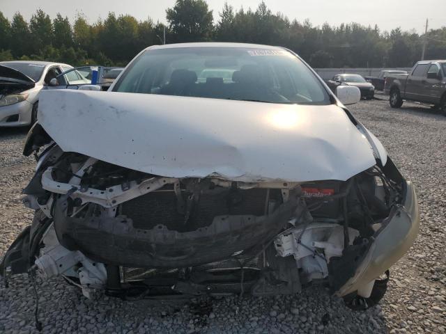 2T1BU40E79C138802 - 2009 TOYOTA COROLLA BASE WHITE photo 5