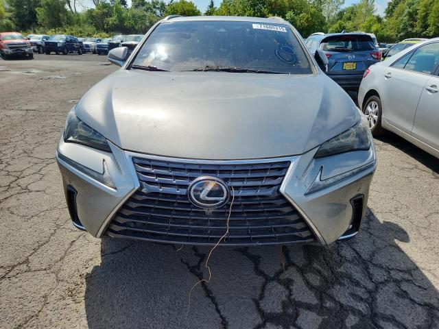 JTJBARBZ3K2183341 - 2019 LEXUS NX 300 BASE 米色 照片 5