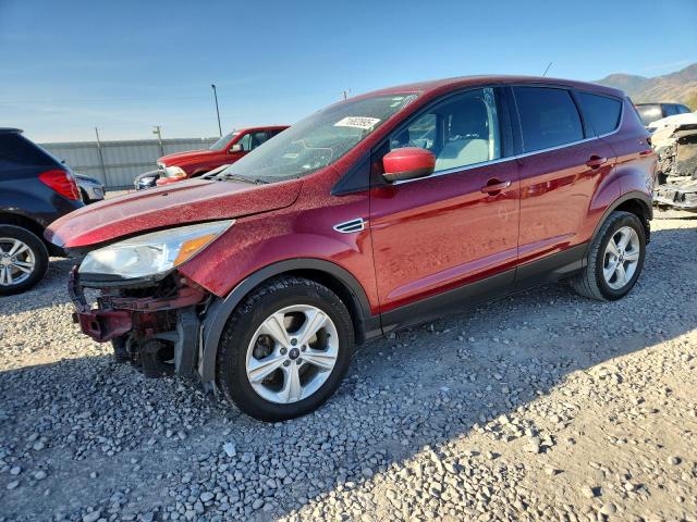 2014 FORD ESCAPE SE, 