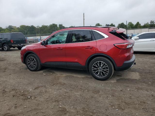1FMCU0LZ1NUA24847 - 2022 FORD ESCAPE TITANIUM RED photo 2