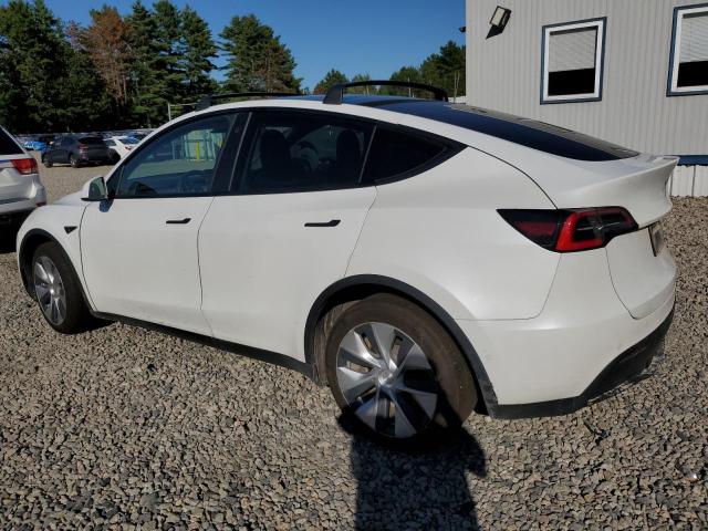 5YJYGDEE7MF072721 - 2021 TESLA MODEL Y Білий фото 2