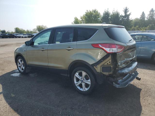 1FMCU0GX4DUD12529 - 2013 FORD ESCAPE SE GREEN photo 2
