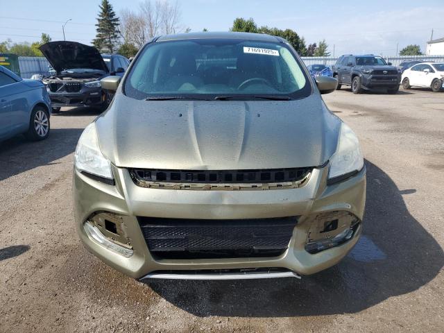1FMCU0GX4DUD12529 - 2013 FORD ESCAPE SE GREEN photo 5