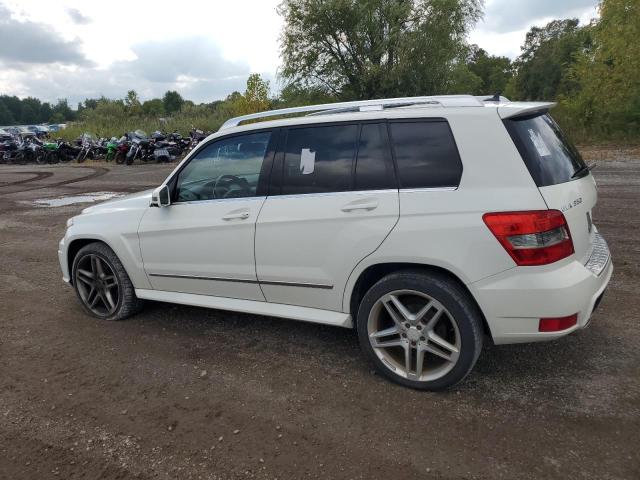 WDCGG8HB1AF474451 - 2010 MERCEDES-BENZ GLK 350 4MATIC WHITE photo 2