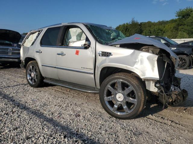 1GYUKBEF5AR110246 - 2010 CADILLAC ESCALADE LUXURY 银色 照片 4