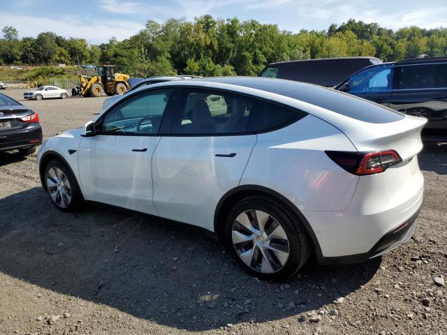5YJYGDEE5MF202754 - 2021 TESLA MODEL Y 白色 照片 2