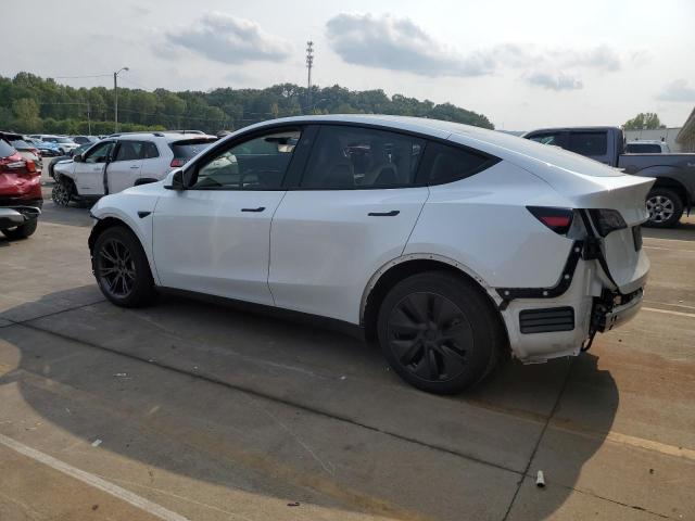 7SAYGDEE7SF257951 - 2025 TESLA MODEL Y Ağ foto 2