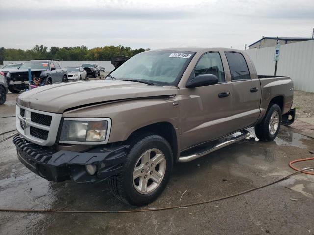 2010 DODGE DAKOTA SXT, 