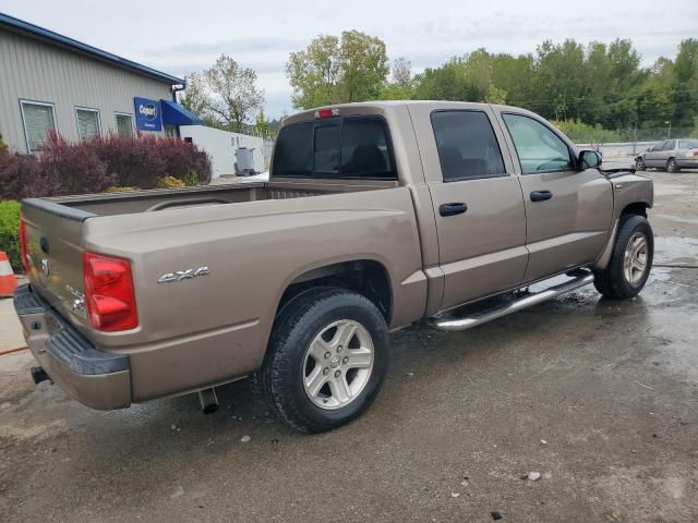 1D7CW3GP4AS130858 - 2010 DODGE DAKOTA SXT TAN photo 3