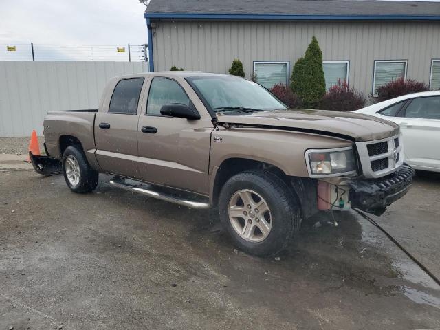 1D7CW3GP4AS130858 - 2010 DODGE DAKOTA SXT TAN photo 4