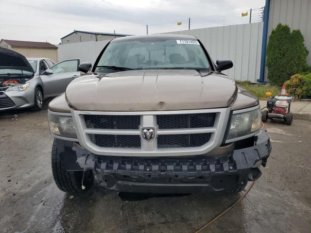 1D7CW3GP4AS130858 - 2010 DODGE DAKOTA SXT TAN photo 5