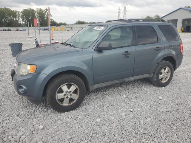 2010 FORD ESCAPE XLT, 