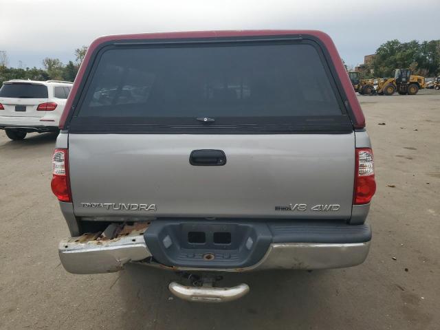 5TBBT44146S484005 - 2006 TOYOTA TUNDRA ACCESS CAB SR5 SILVER photo 6