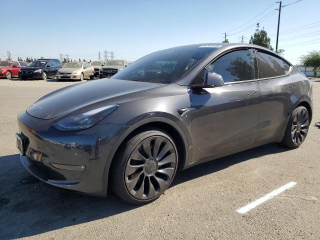 2025 TESLA MODEL Y, 