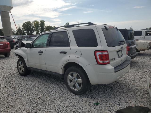 1FMCU0DG4CKA88581 - 2012 FORD ESCAPE XLT WHITE photo 2