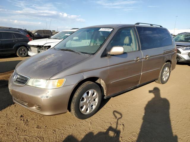 5FNRL18034B148921 - 2004 HONDA ODYSSEY EXL GOLD photo 1