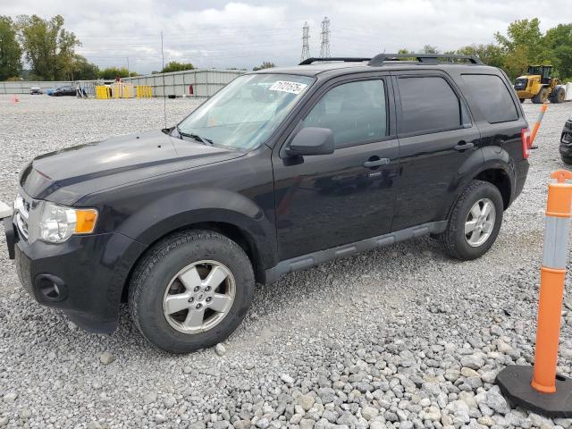2012 FORD ESCAPE XLT, 