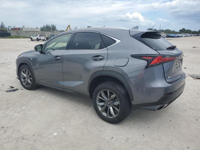 JTJSARBZ5M2181576 - 2021 LEXUS NX 300 BASE Boz foto 2