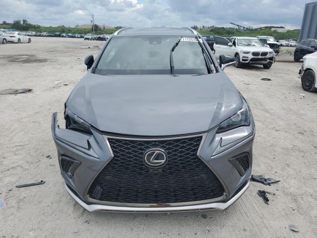 JTJSARBZ5M2181576 - 2021 LEXUS NX 300 BASE Boz foto 5