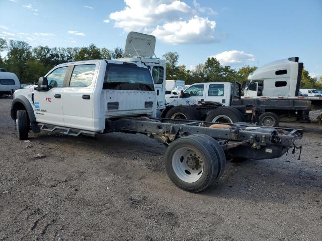 1FD0W5GT0KEG88210 - 2019 FORD F550 SUPER DUTY WHITE photo 2