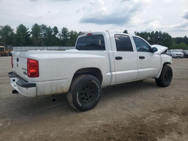 1D7RE3GK5BS521875 - 2011 DODGE DAKOTA SLT WHITE photo 3