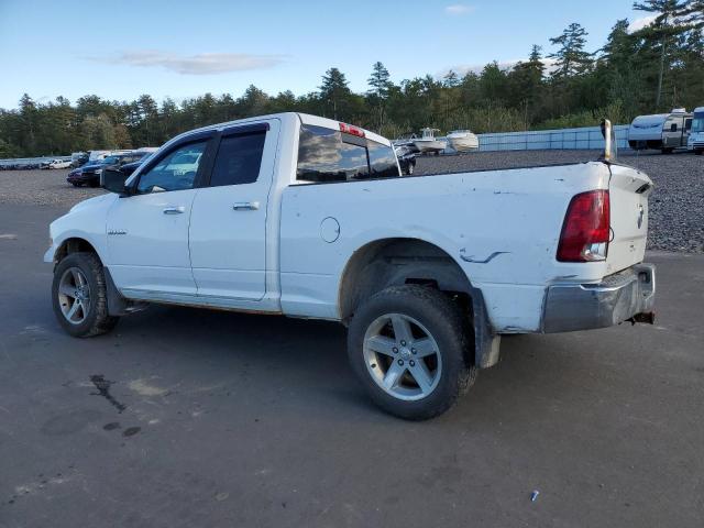 1D7RV1GP3AS160564 - 2010 DODGE RAM 1500 WHITE photo 2